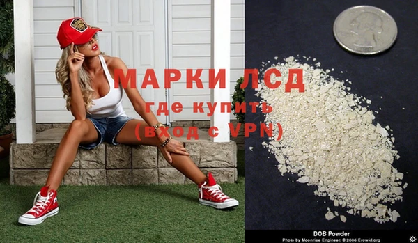 ГАЛЛЮЦИНОГЕННЫЕ ГРИБЫ Михайлов