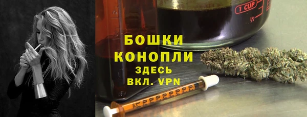 ГАЛЛЮЦИНОГЕННЫЕ ГРИБЫ Михайлов
