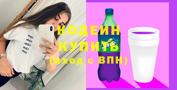 ГАЛЛЮЦИНОГЕННЫЕ ГРИБЫ Михайлов