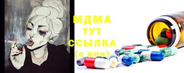 ГАЛЛЮЦИНОГЕННЫЕ ГРИБЫ Михайлов