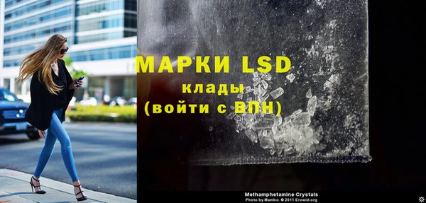 ГАЛЛЮЦИНОГЕННЫЕ ГРИБЫ Михайлов