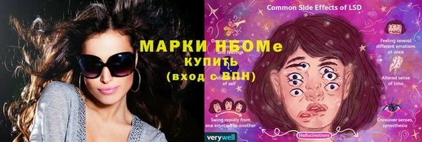 индика Михайловка