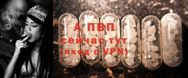 индика Михайловка