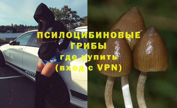 индика Михайловка