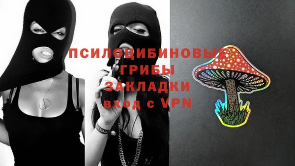 ГАЛЛЮЦИНОГЕННЫЕ ГРИБЫ Михайлов