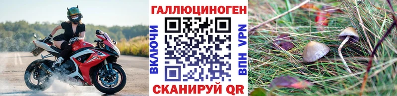 Галлюциногенные грибы мицелий  Купить  Ардатов 